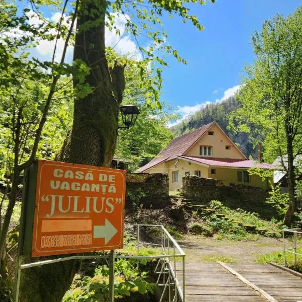 Casa de vacanta Julius, hôtel à Padis