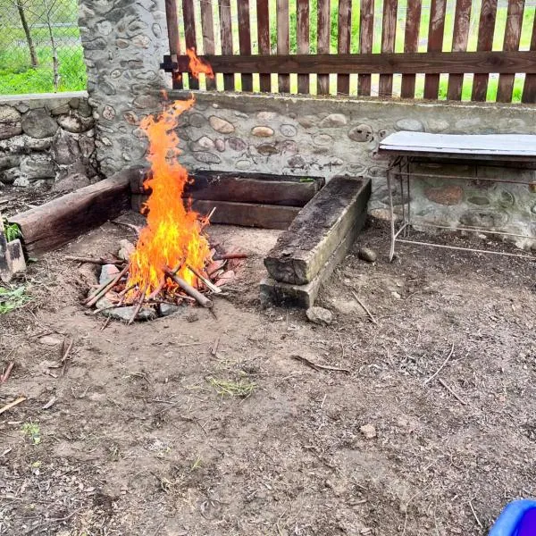 La Grădina, ξενοδοχείο σε Mehadia