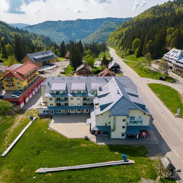 Apartment 207, hotell sihtkohas Feldberg