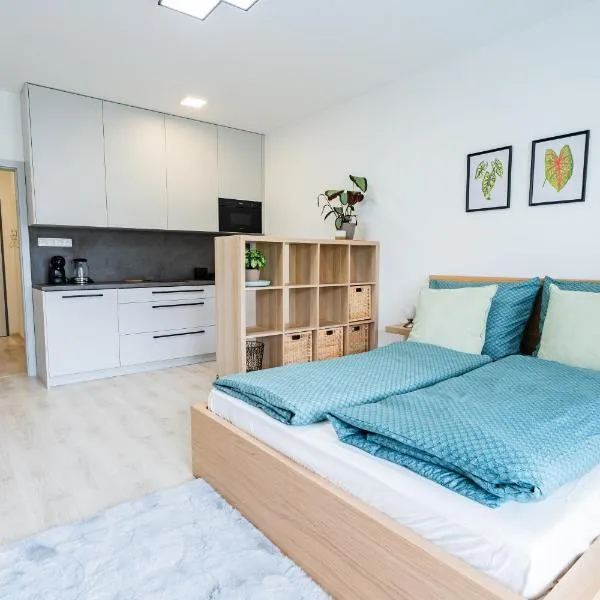 Edmund's apartments 22, ξενοδοχείο σε Olomouc