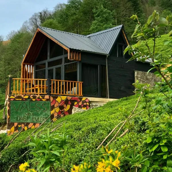 VAESS Villa Dağ Evleri, hôtel à Çamlıhemşin