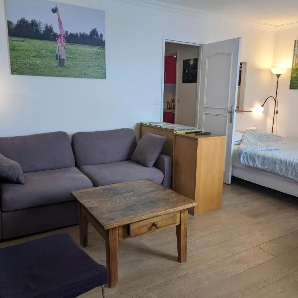 Large studio with terrace for up to 4 people, hotel v Paříži