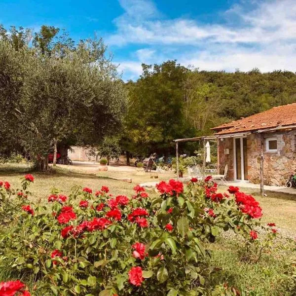 Agriturismo Poggio Ceraso di Lamioni Roberto, hotel in Magliano in Toscana