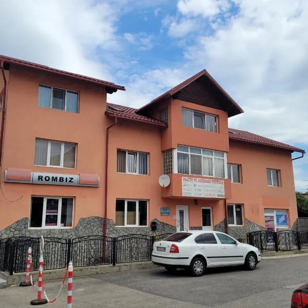 Vila ZENARA, Hotel in Pucioasa