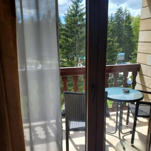 Apartman Pavle，位于新瓦罗什的酒店