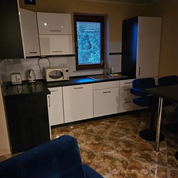 Apartamenty Pokoje w Bieszczadach Solina polańczyk、ポランチクのホテル