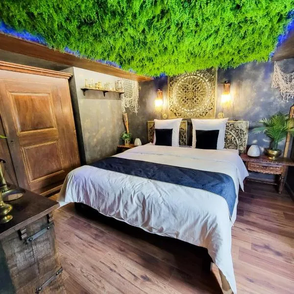 Dormir Chez les Pirates charme & confort à 10 min de Colmar, hotel in Sainte-Croix-en-Plaine