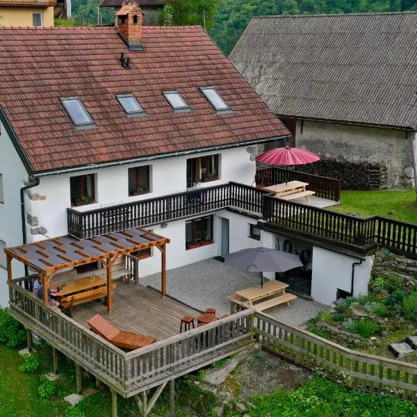 Hisa Brdo Guesthouse, hotel in Tolmin