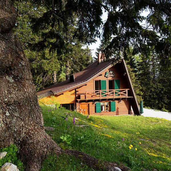 Chalet Alpinka