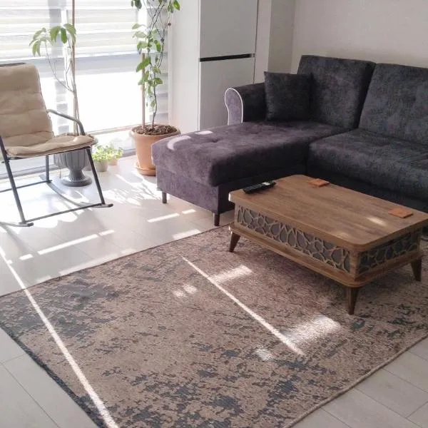 Ankara Esenboğa Airport Luxury Apart Concept, hotel in Ankara