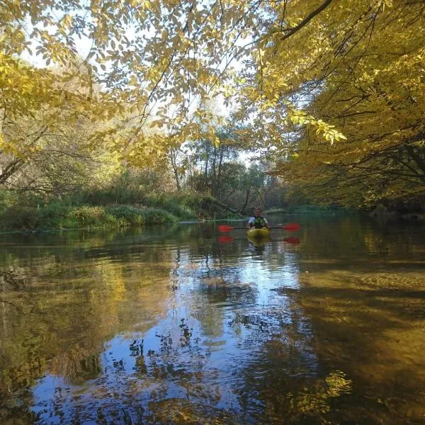 Pole Namiotowe Liswarta, hotel in Wąsosz Górny