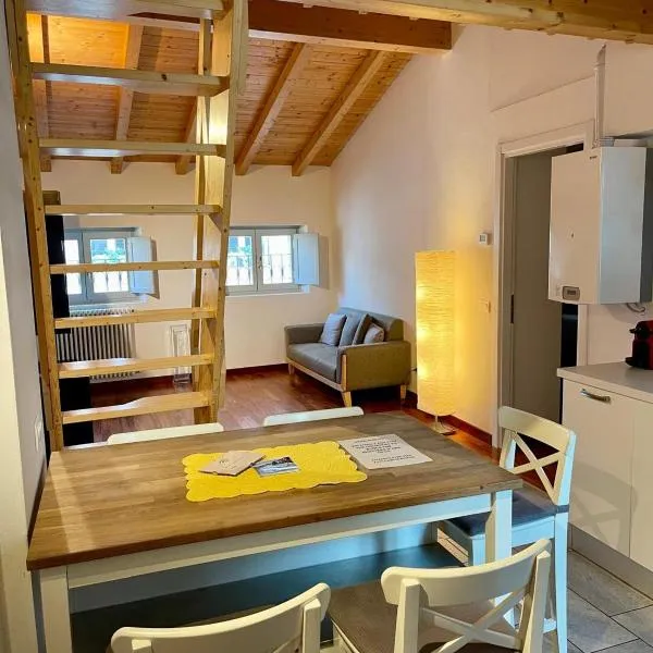 CALICANTUS Apartments ATENA，位于科莫的酒店