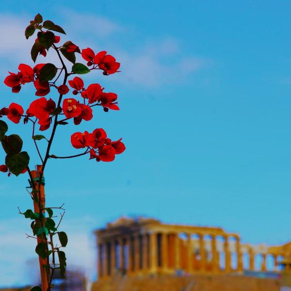 Absolute Athens Acropolis View, Athen