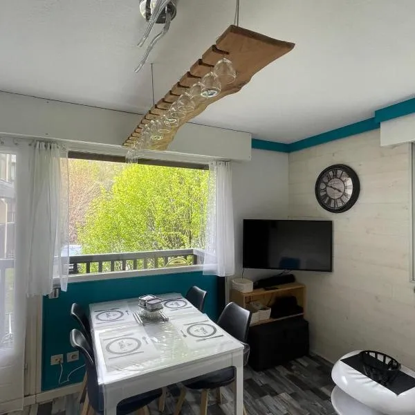 Appartement confortable labellisé saint lary, hotel in Vignec