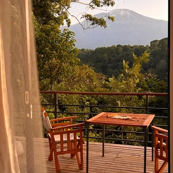 Kaliwa Lodge, hotel in Moshi