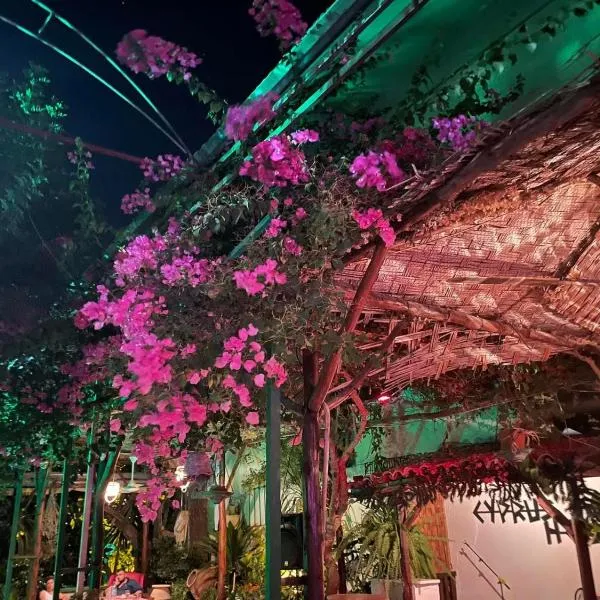 Kıbrıs Evi (Cyprus House),位于法马古斯塔的酒店