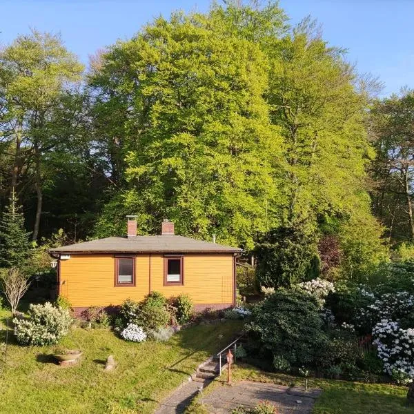 Strand und Waldhaus in Ückeritz Uriges Ambiente trifft Meer, Hotel in Ückeritz