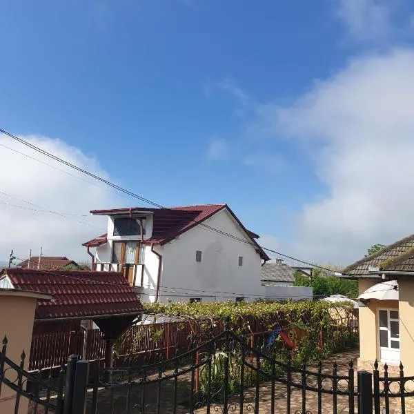 La Vodita SRL, hotel v destinaci Filiaşi