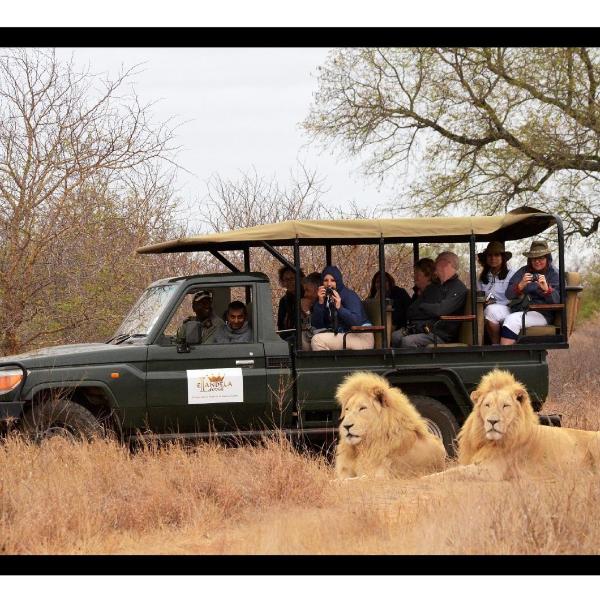 Elandela Private Game Reserve and Luxury Lodge