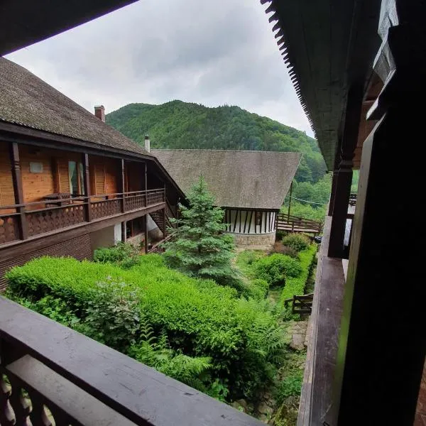 Casa Tisaru, hotel in Lepşa