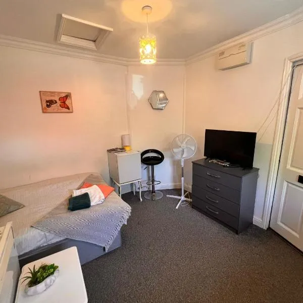 Studio London Hackney near Homerton Hospital, hotel in London