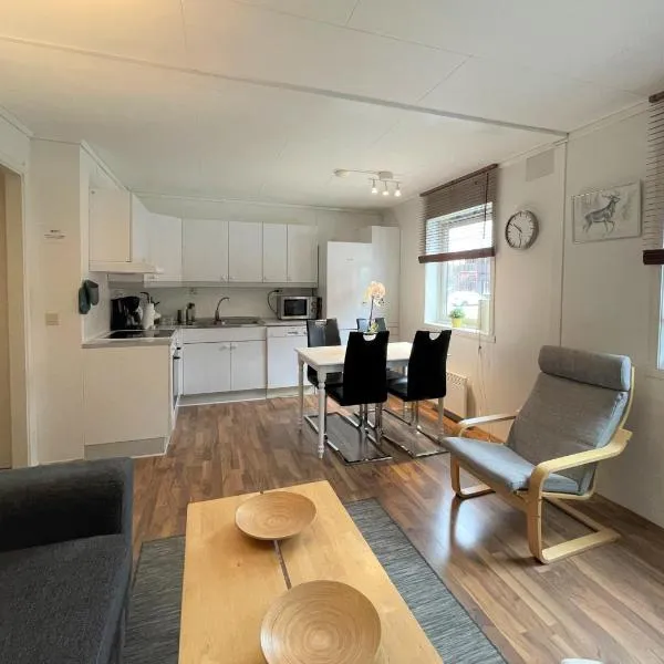 Lassiebyn 10 Entire Apartment with Parking & Kitchen, hotel in Branäs