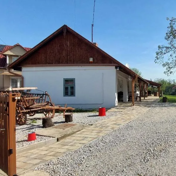 Trinity Vendégház Abádszalók, hotel in Abádszalók