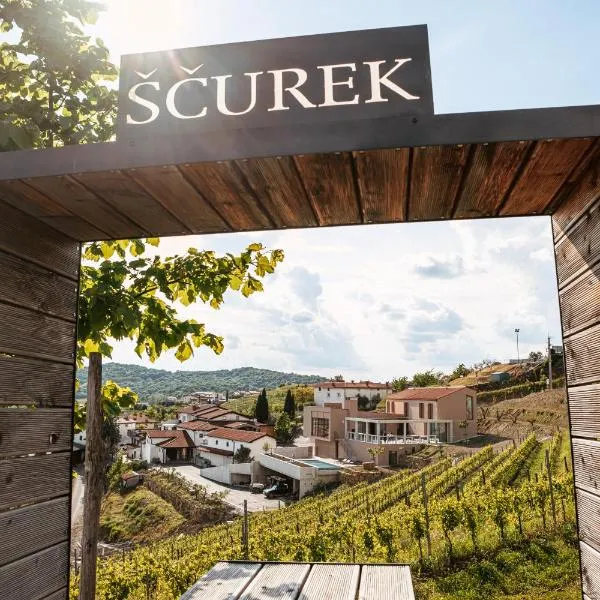 Posestvo Ščurek wine, hotel in Dobrovo