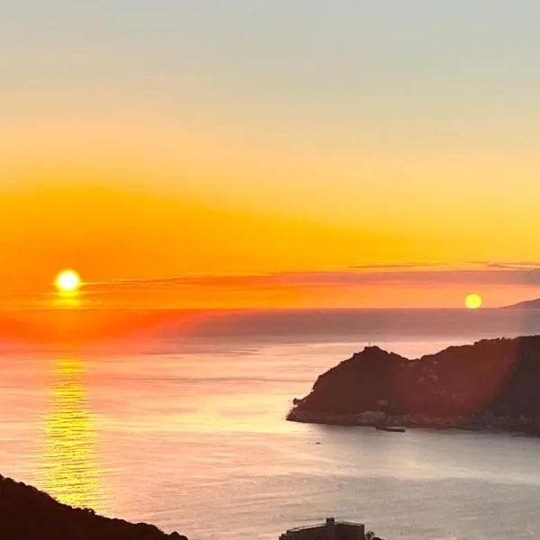 望洋閣, hotel v destinaci Atami