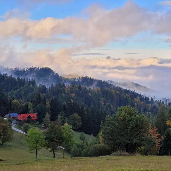 Domek na Obidzy、ピブニチュナ・ズドルイのホテル