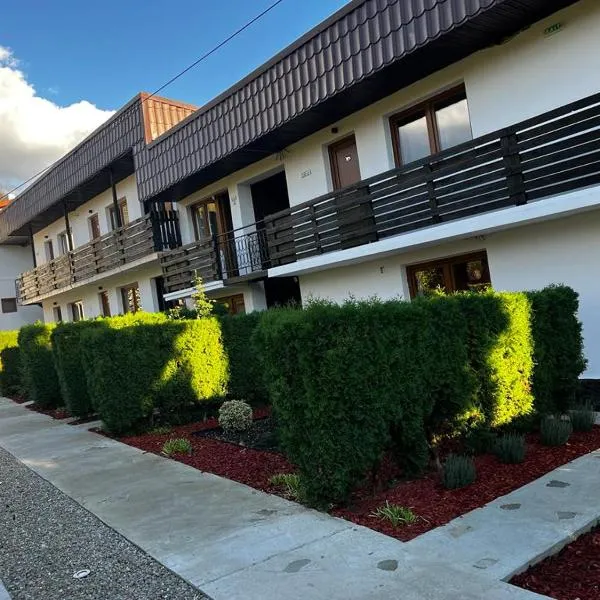 Pensiunea Bavaria Campina, hotel v destinaci Câmpina