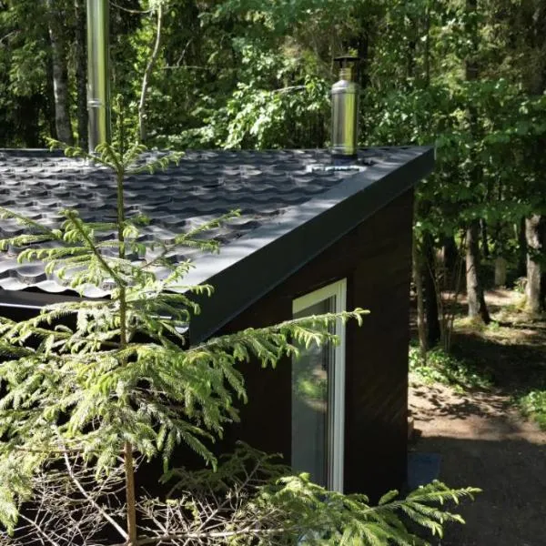 Miško sielos namelis su pirtele, hotell sihtkohas Aukštelkė