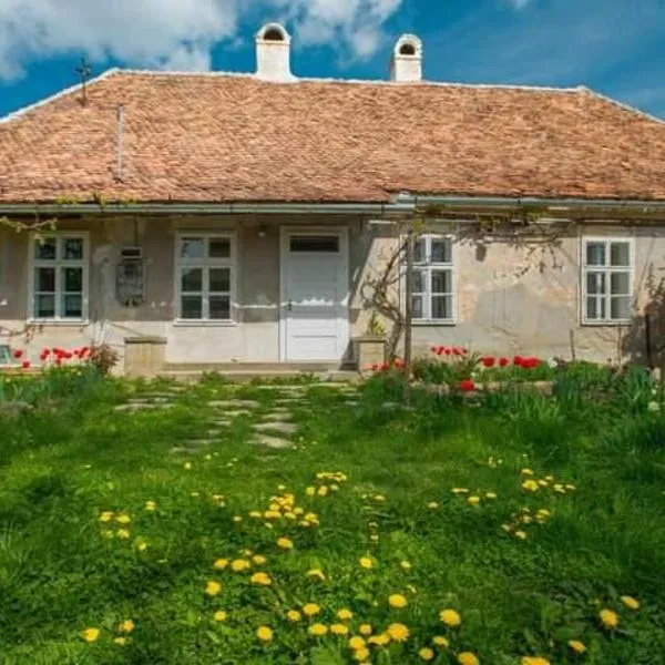 Gästehaus Fogarasch, hotel v destinaci Fagaraš