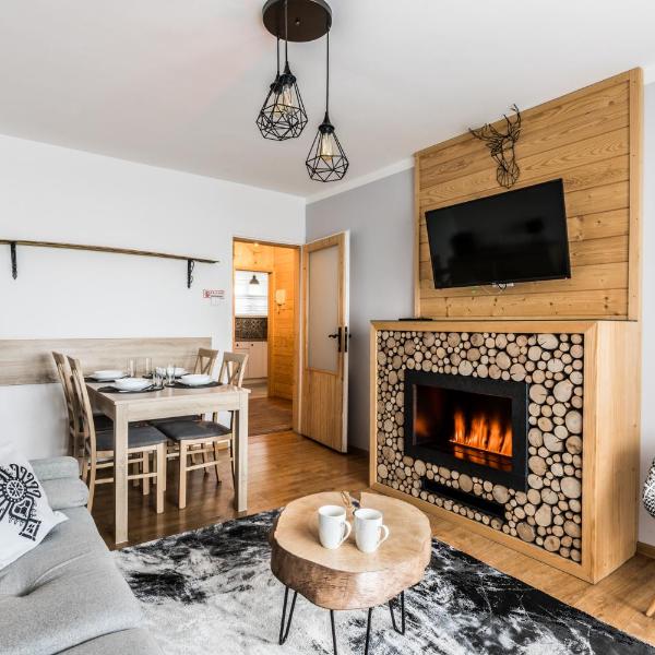 Apartament Regionalny Centrum