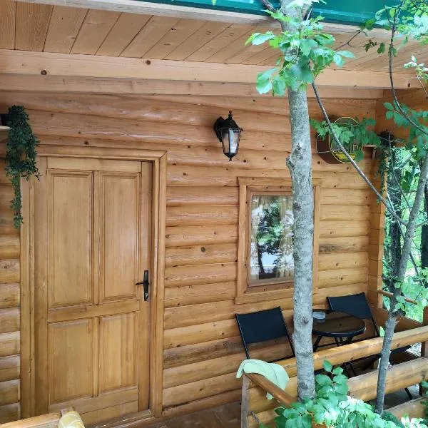 Still cabin, hotel in Cetinje