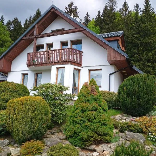 Bedřichov 298, ξενοδοχείο σε Bedrichov