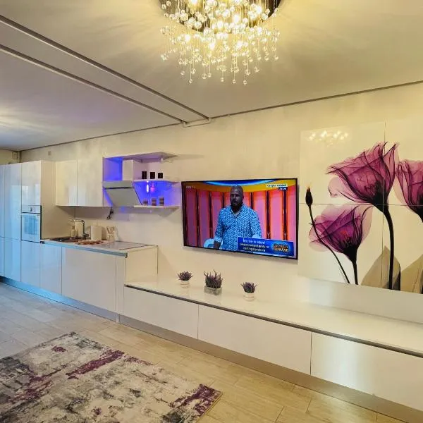 S & S Apartment 2 bedroom with Balcony & Terrace Dumbravita free Parking at location 2 spaces, hotel en Dumbrăviţa