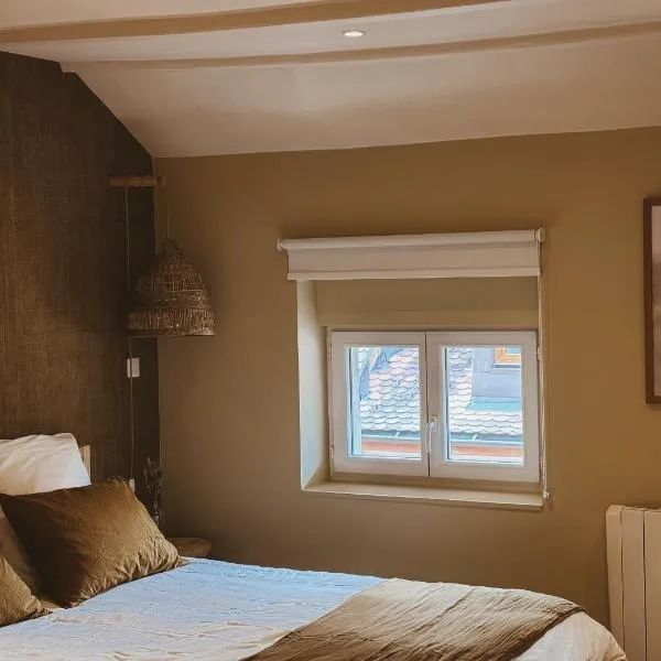 Studio Etoile Carnot au cœur de la vieille ville, hôtel à Annecy