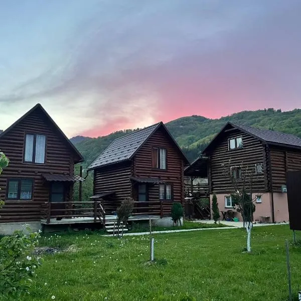 ШОВКОВА КОСИЦЯ, hotel in Rakhiv