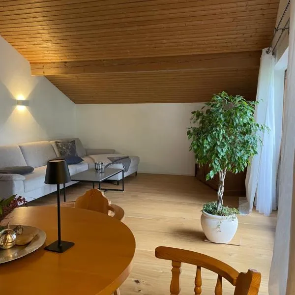 Haus Hochland - Großzügige Alpenwohnung im Dachgeschoss, hotell sihtkohas Bad Kohlgrub