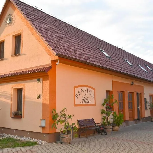 Penzion Říše، فندق في تريبون