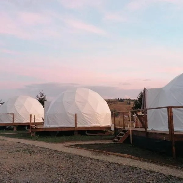 Glamping 4 us, hotel in Topliţa