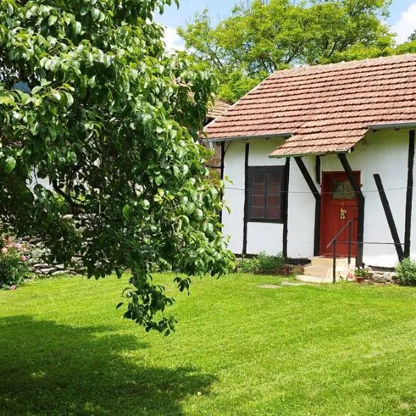 Глинената къща в Дълги Дел, hotel in Dŭlgi Del