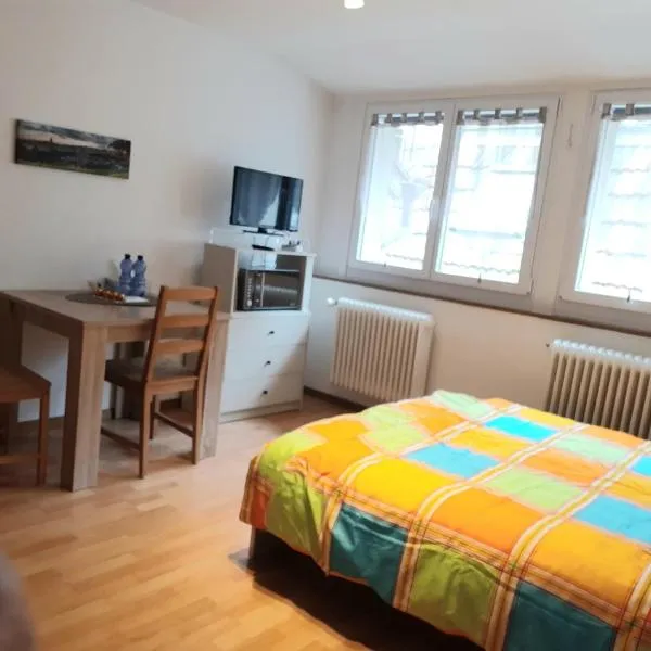 Proche de la cathédrale, logement, hotel v destinaci Fribourg