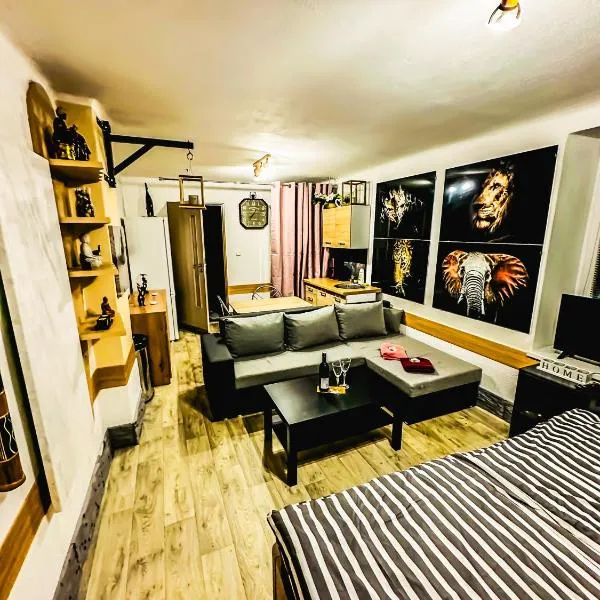 Apartmán Pod hradem，位于Horšovský Týn的酒店