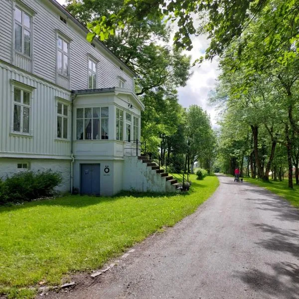 Tjøtta Gjestegaard, Hotel in Alstahaug