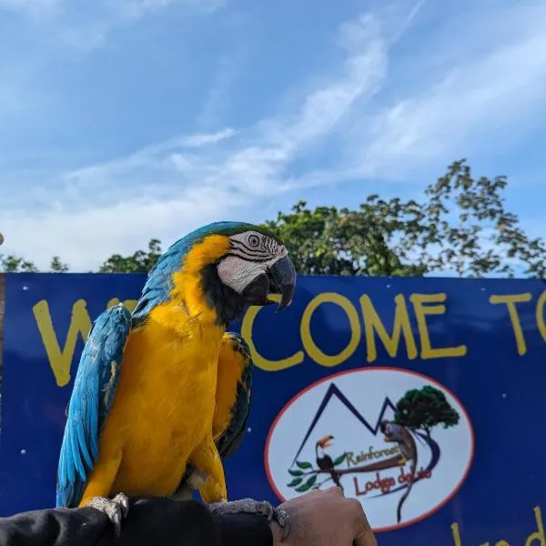 Rainforest Lodge del Rio,位于波托韦洛的酒店