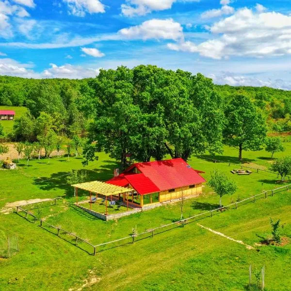 Căsuța din Stejari-Transalpina, Hotel in Novaci-Străini