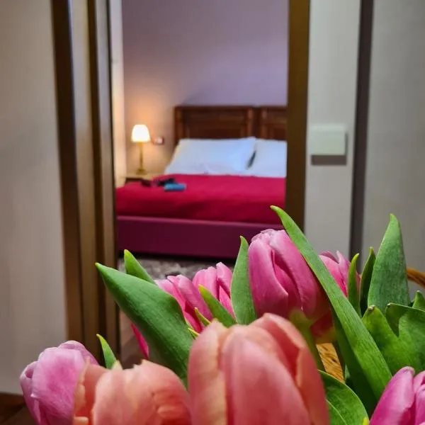 Zi Bitta - guest house, ξενοδοχείο στην Παλμανόβα