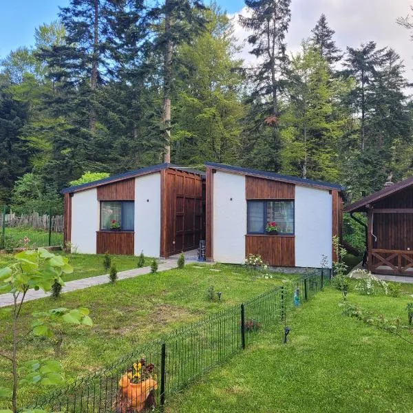 Chalet Amik,布希坦尼的飯店